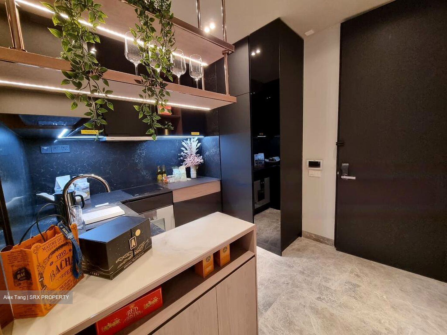 Jervois Privé (D10), Apartment #467636691